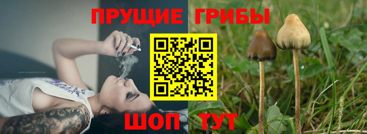 Галлюциногенные грибы GOLDEN TEACHER  Вход с VPN  Губкин 