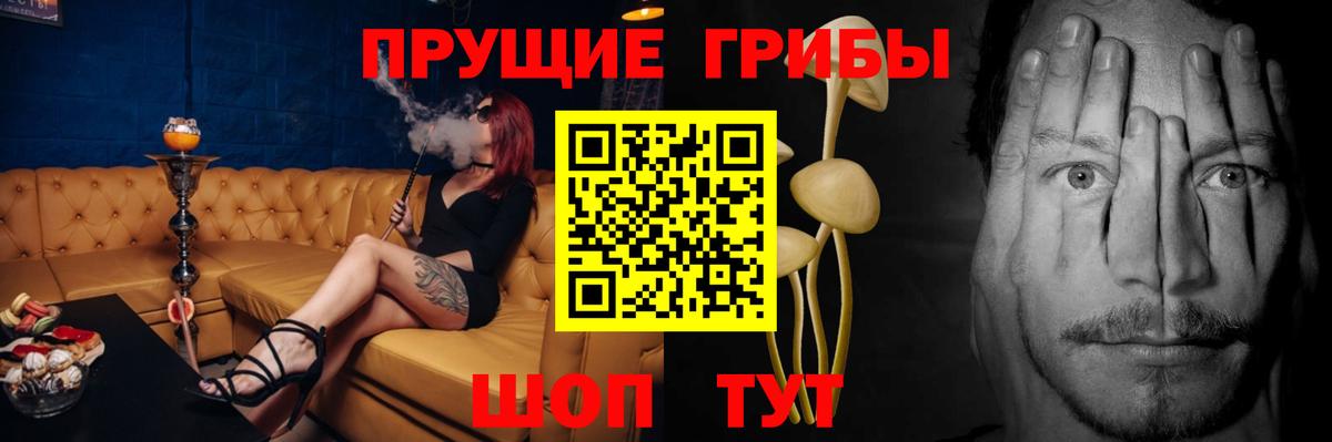 Псилоцибиновые грибы GOLDEN TEACHER Губкин